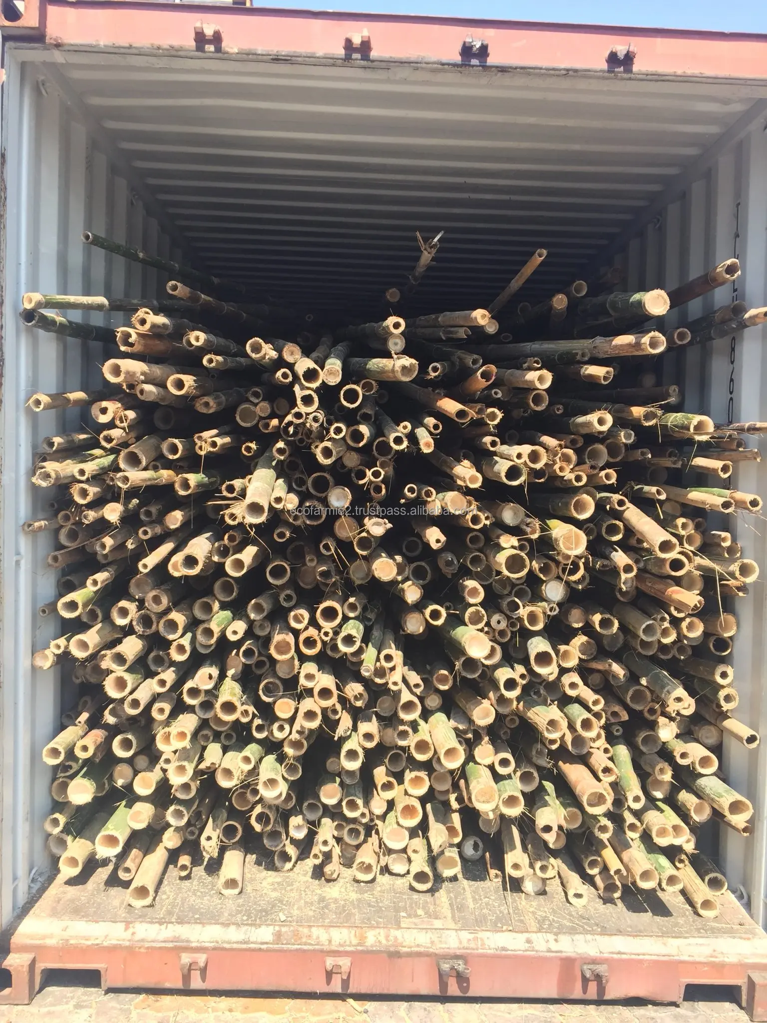 Vietnam high quality bamboo poles for construction natural gardening bamboo pole sticks cheapest price