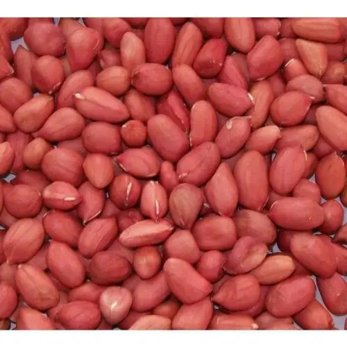 2021 Red Skin/Roasted Peanut in Shell/Sunreal/Best Color