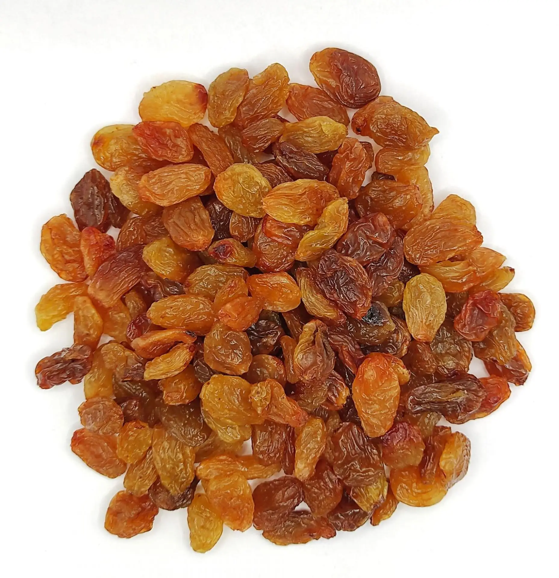 Wholesale Organic Golden Raisins High Quality Low Price Bulk Supply Fast Shipping Best Buy