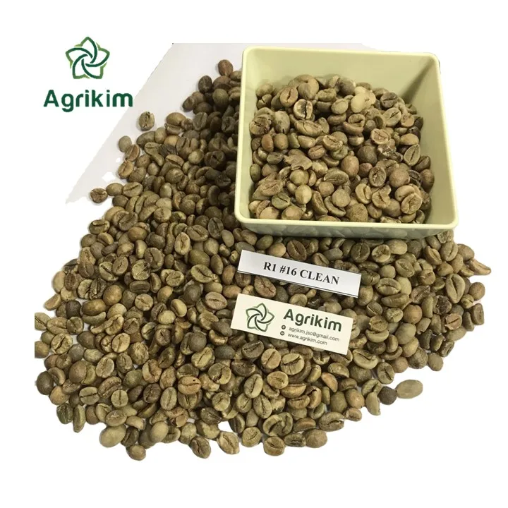 WS +84359166896 High Quality Green Coffee Beans Vietnam Exporter Discount For Bulk Quantity Sample Available For Global Market