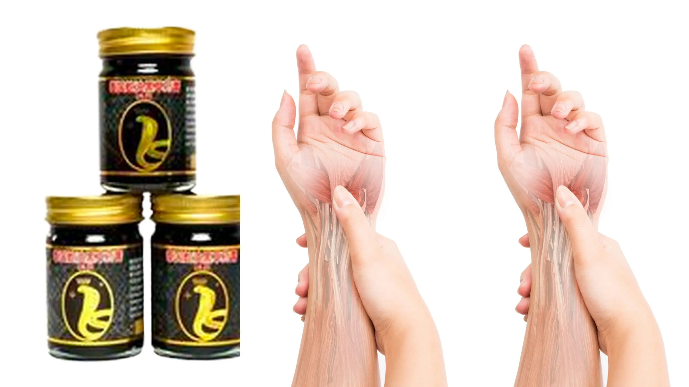 2024 Best-Selling Thai Herbal Phaya Ngu Dam Balm Medical Supplements in Patch Form Hot Product 50gm Size