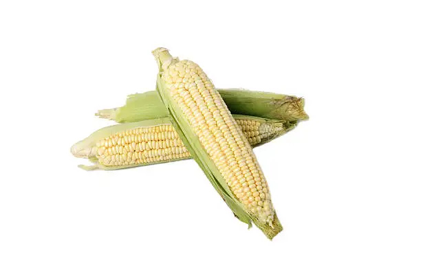 White Corn6.jpg