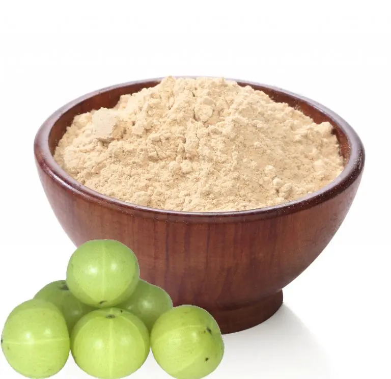Wholesale Price Dry Amla Extract Natural Powder High Quality Organic Herbal Amla Powder for Sale