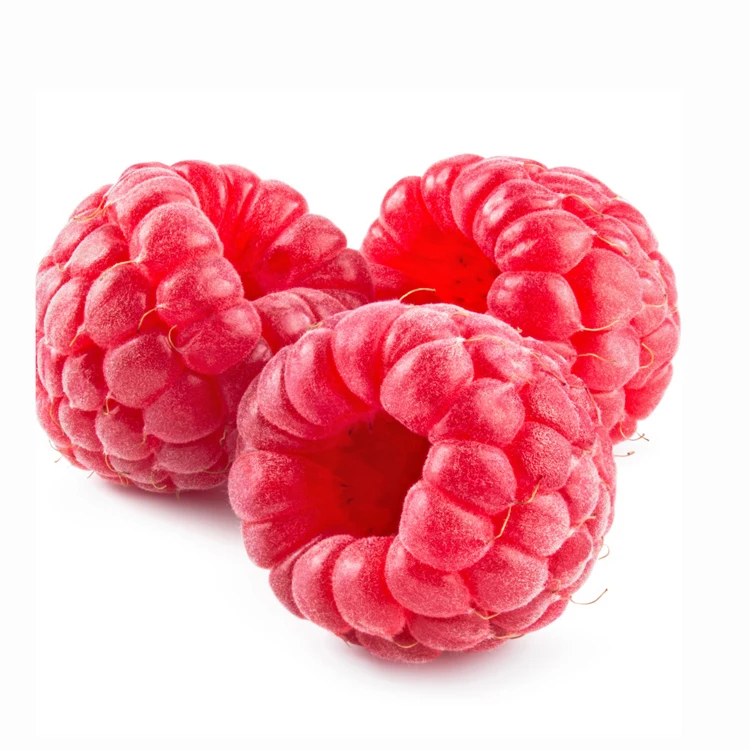 BRC Halal Haccp organic fresh IQF Frozen Red Raspberry Quality Raspberries