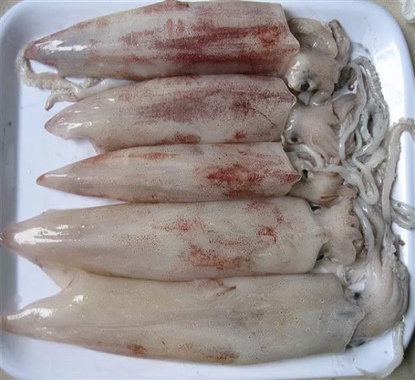 Недорогой замороженный кальмар цельнозернистый (морепродукты) сушеный из всей Аргентины иллекс