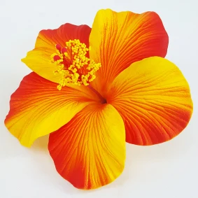 Best seller good quality Handcraft Handmade artificial hibiscus foam flower with special tattoo and color pattern