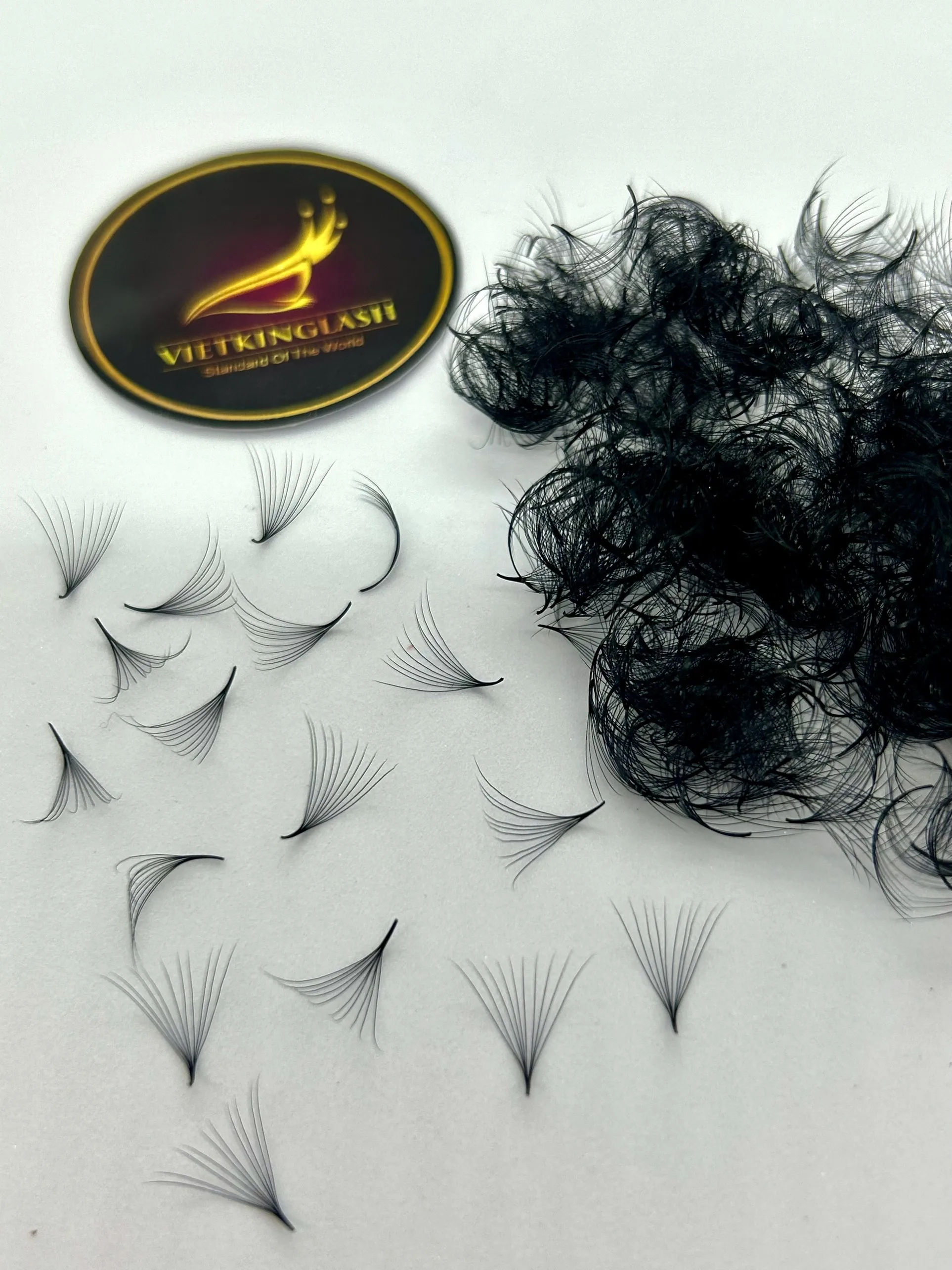 Wholesale Price Private Label Loose Fan Lashes 500/1000 Fans Long Volume Fans Eyelash Extensions Natural Black Super Smooth