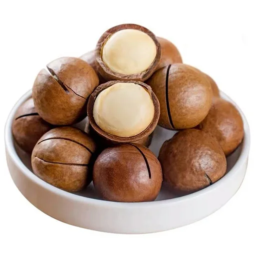 High Quality Naturally Grown Macadamia Nuts 100% Mature at Cheap Wholesale Price 100% Mature at Cheap Wholesale Price