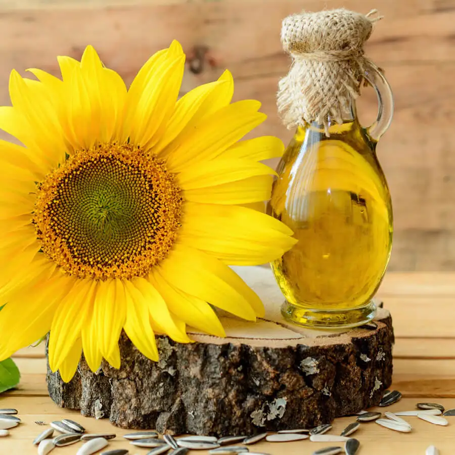 Quality 100% Ukraine Refined Sunflower Oil/ Vegetable Cooking Oil/ Corn Oil Natural Sunflower Seed Oil Nut & Seed Oil 100 Purity