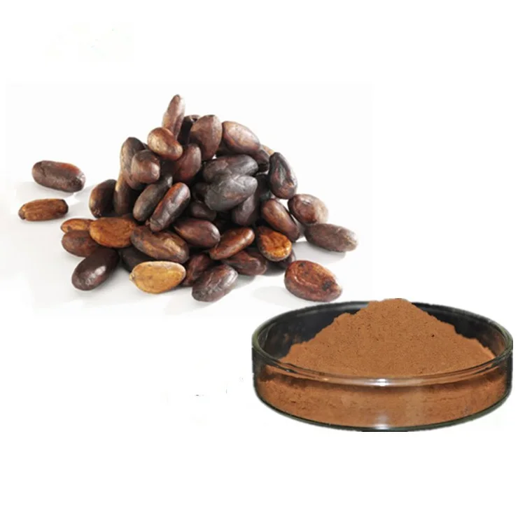Wholesale Madagascar Organic Premium 100% Pure Raw Cacao / Cocoa Powder For Baking & Hot Chocolate