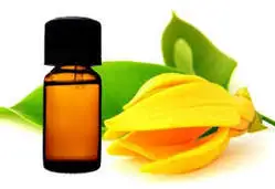 Manufacturer supply OEM 100% -organic ylang ylang e-s--s-e-n-t-i-a-l oil for aroma diffuser and aromatherapy