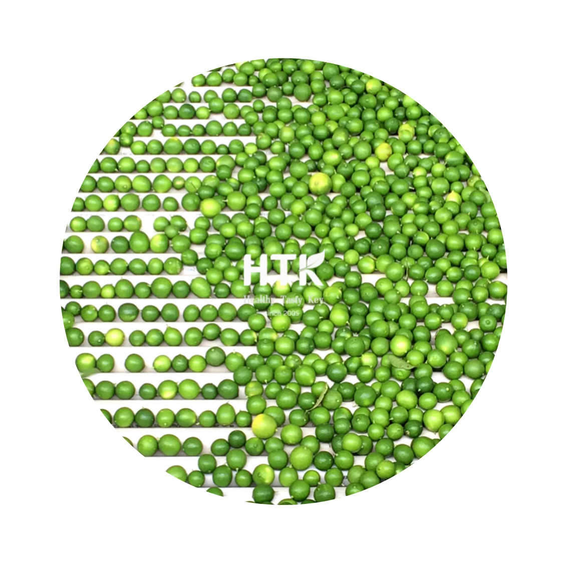 100% натуральный сделанный во Вьетнаме высококачественный свежий тропический Лайм от HTK FOODS для продуктов питания и напитков