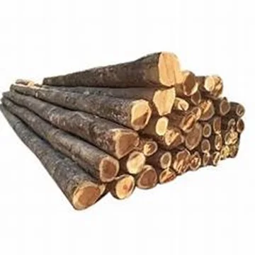 Чистые натуральные и экологически чистые бревна из тикового дерева доступны по оптовой цене