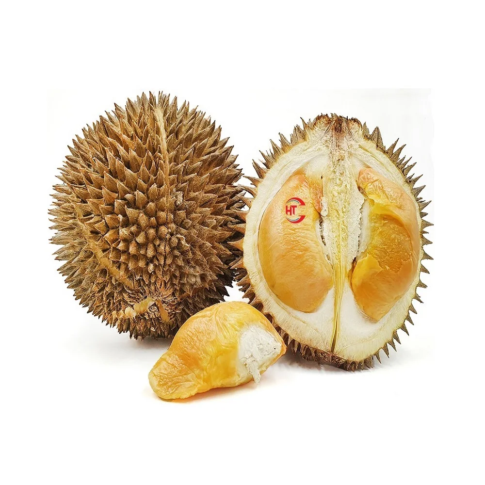 Экспорт, высокое качество, свежие фрукты, органическое культивирование, свежие 25-35 см, Тонги, дуриан, вьетнамское происхождение