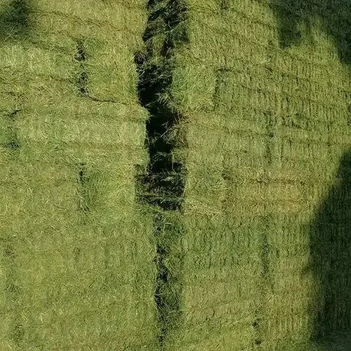Bales Alfalfa Hay Timothy Hay Bales Oats Hay Bulk Top Grade Alfalfa for Animal Feed wholesale