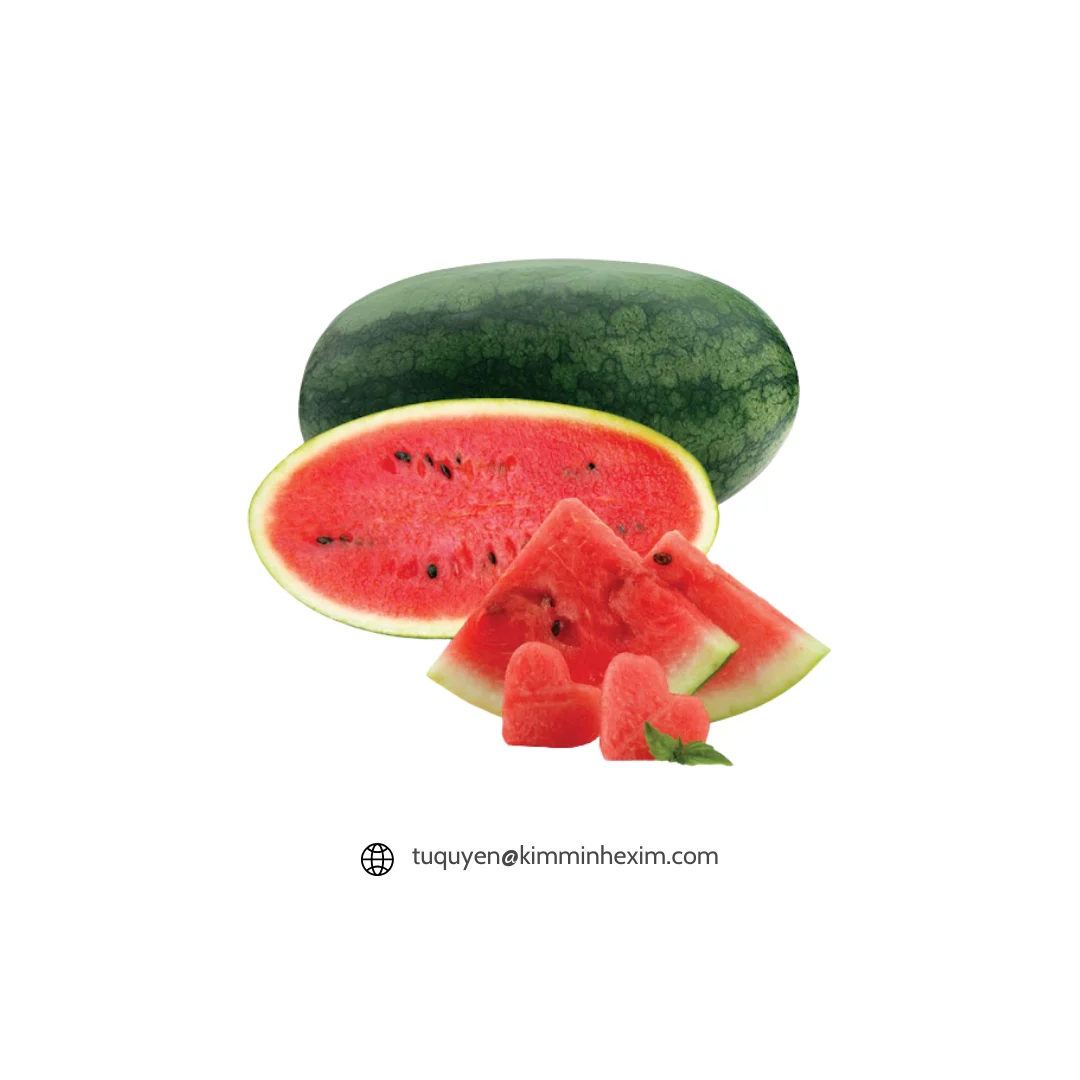 Premium Quality Frozen Watermelon Bulk Export for Global Businesses