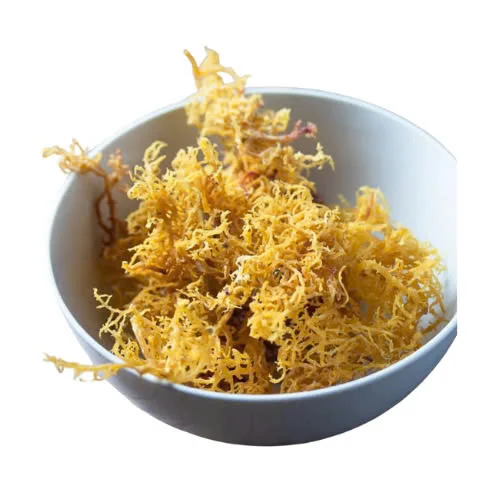 High Quality Dried Seaweed Best Quality From EXPADVietnam with Competitive Price 2024