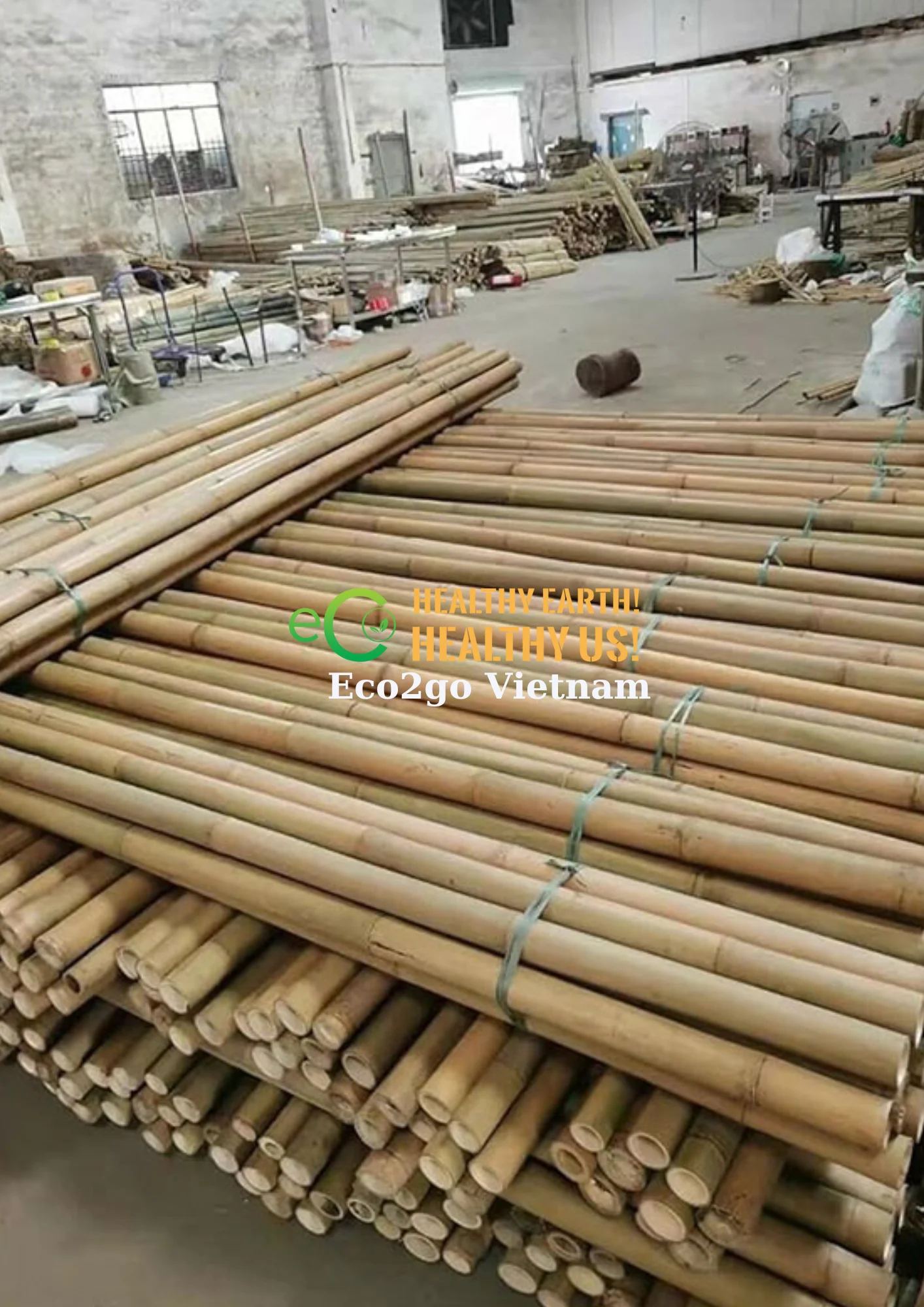 Good Price And High Quality Bamboo Stakes Canes/ Bamboo Stakes Made In Vietnam By Eco2go Vietnam