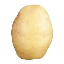 New 2019 Style Time GLOBAL Organic GAP Weight Origin Type Shandong Shape Potato Size Year Supply Product Fresh Place Model HACCP