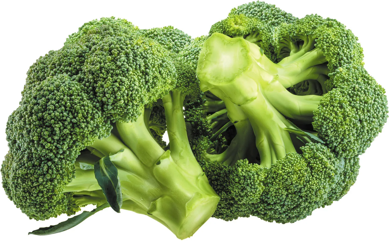 Wholesale Cheap Price Frozen Vegetable Direct Factory Broccoli Fresh Place Model Maturity Cultivation Broccoli From Bangladesh