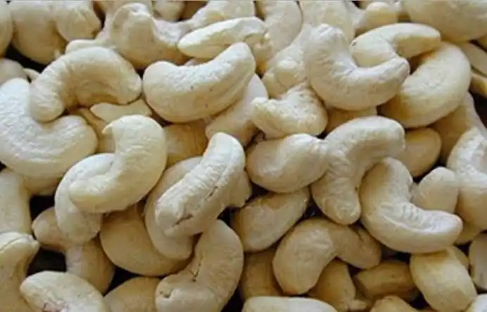 Made In Vietnam Wholesale Organic Cashew nuts Raw Cashew Dried Nuts Lowest Price Cashew Kernel