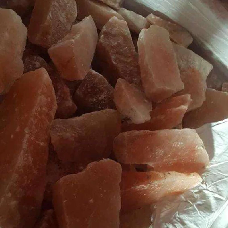 Новые животные соленые кролики сурки лисы серые белки бурундуки и птицы одни определенно едят больше соли чем другие