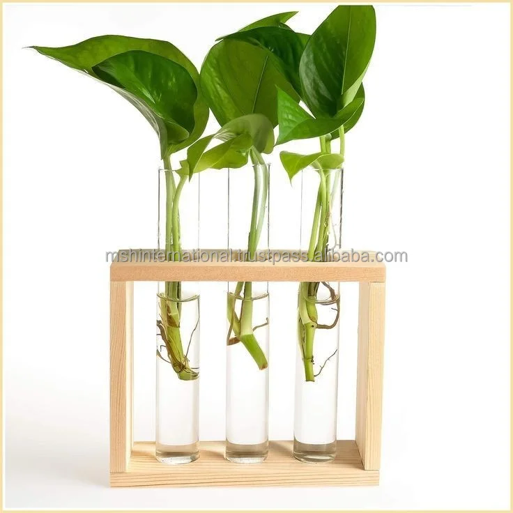 Creative Hydroponic Plants Office Desktop Ball Vase Wood Stand Ornaments Hanging Glass Vase