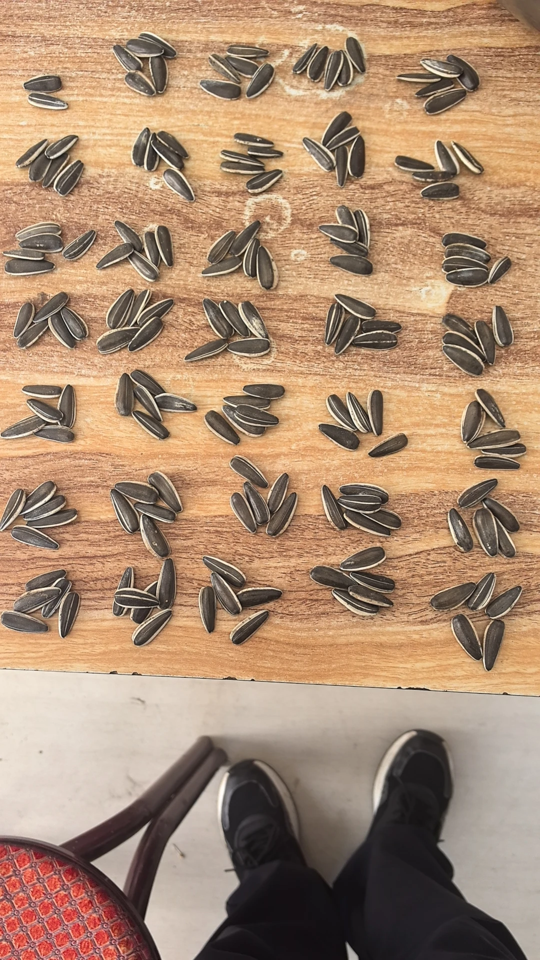 T6 180-190 190-200 200-210 new crop sunflower seeds best price and quality seeds from China Inner Mongolia