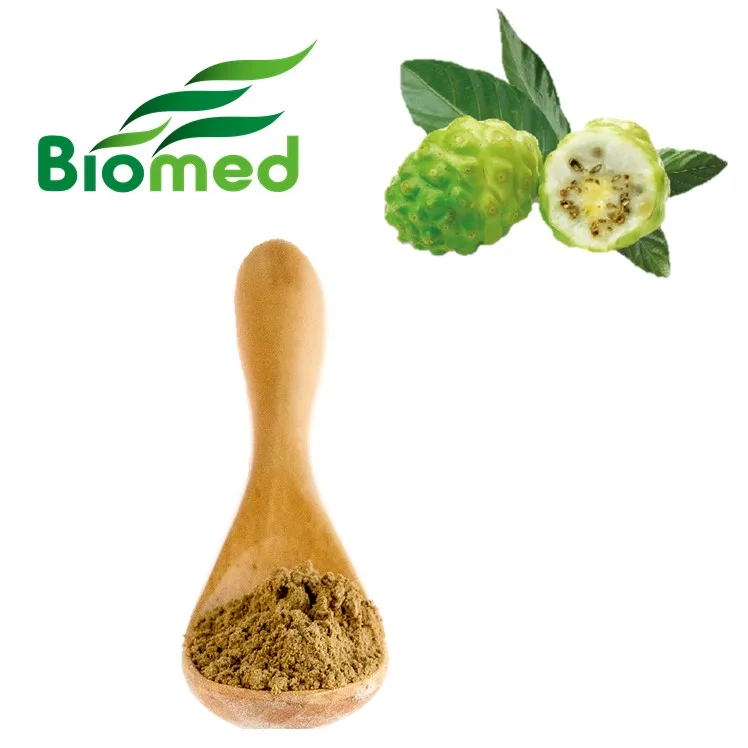 Noni powder Fresh Juice Extract Best Selling OEM Service noni fruit enzyme extract powder