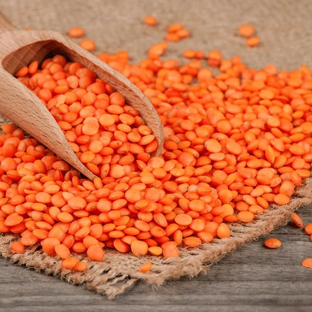 High Quality First Class Wholesale Product Red Lentils