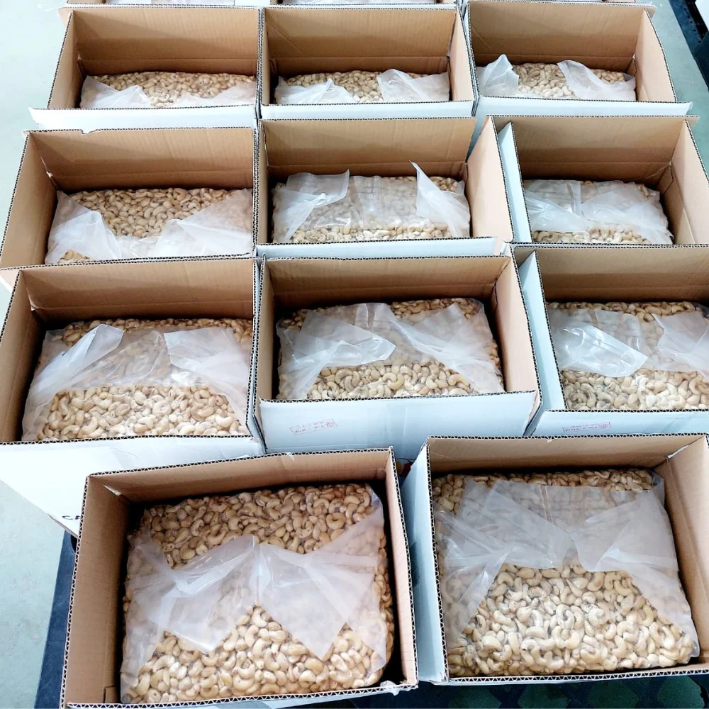 Clean Cashew, Good Taste Kaju Badam Cashew Nuts Vietnam Cashew Exported To US, EU Whatsapp +84909774405 Kai
