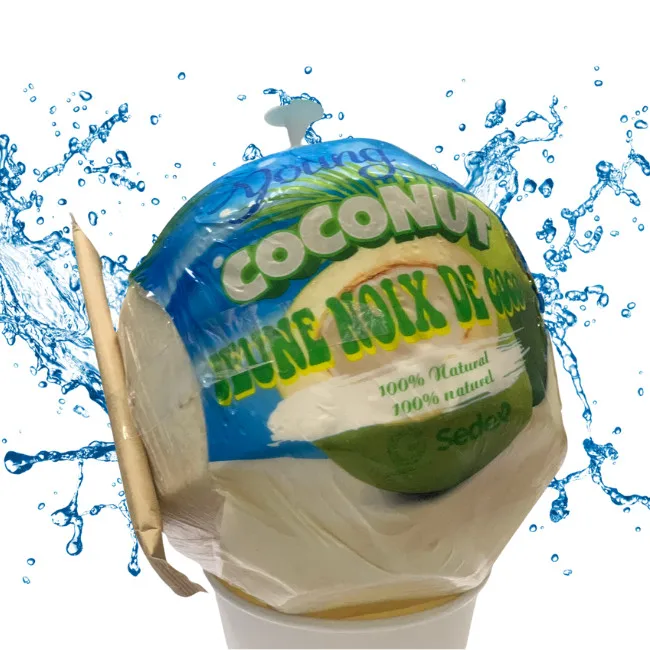 High Quality Fresh Young Green Coconut from Vietnam International Agriculture Wholesale Prices Cheap Price