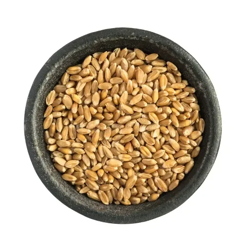 New arrival Quality Soft and Hard Wheat Grains / Premium Quality Soft Milling Wheat 100% Pure High Quality Wheat, At Low Price