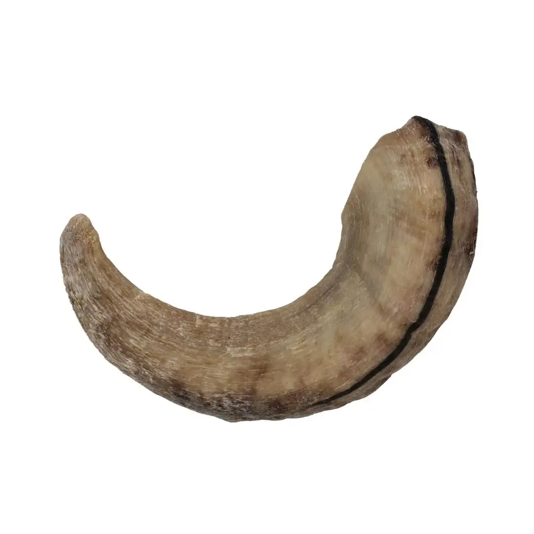 Horn Dog Food And Chew And Hand Made Product Material Natural Lamb Horn For Sale