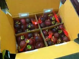 High Quality and Reasonable Prices Fresh Mangosteen from Viet Nam for wholesaler and for buyer (+84983028718)