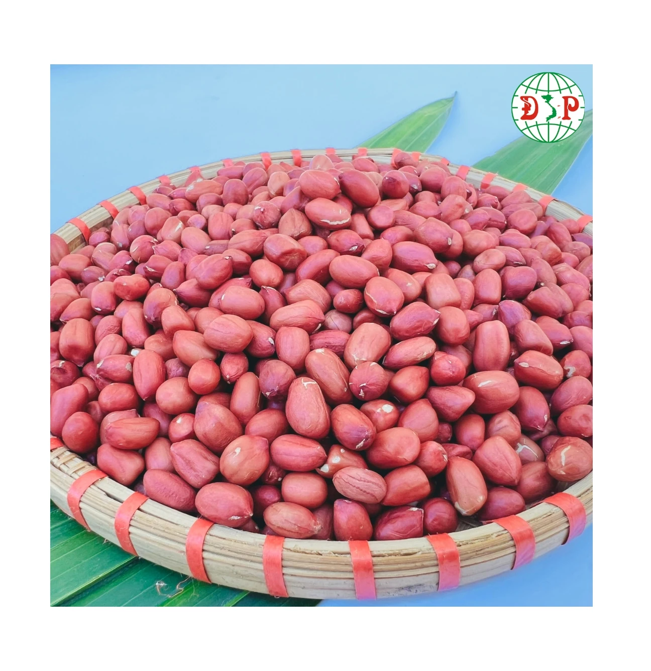 Beest Price Peanut kernels Groundnut Kernel 100% Natural peanut and peanut seeds with rich in nutrition