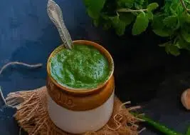 Export Quality Mint Paste Food Condiments Spices Kitchen Custom Bulk Seasonings Natural Mint Concentrate Paste