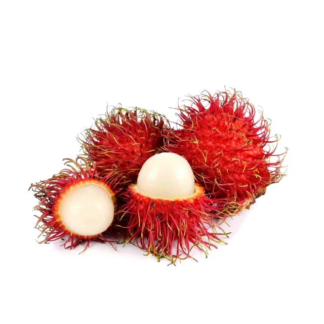 High Quality Rambutan Exotic Fruit from Vietnam Sweet Taste for Cooking Competitive Price
