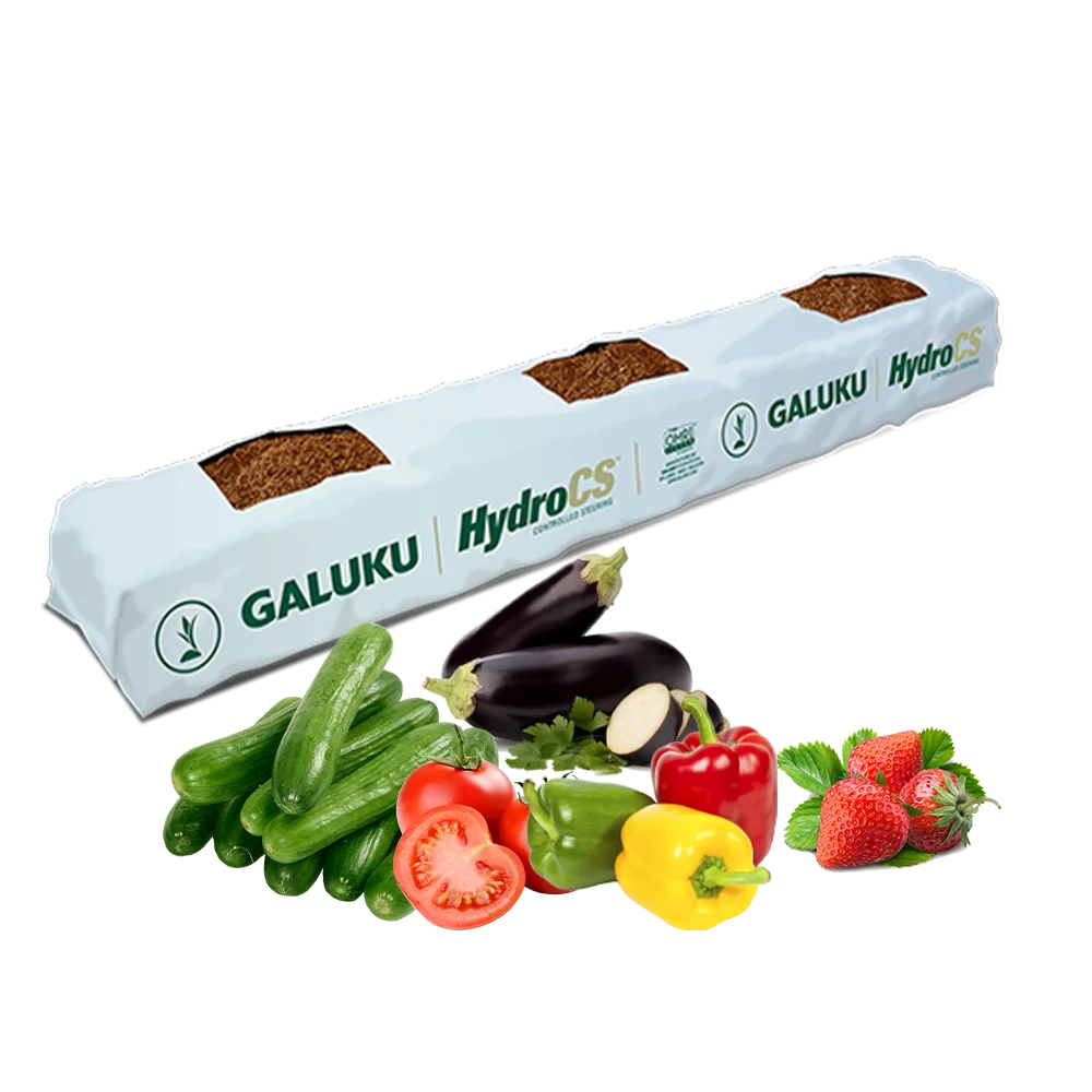 Пакет для выращивания Cocopeat, Гидропонные средства для выращивания Cocopeat для сельского хозяйства, cocopeat grow