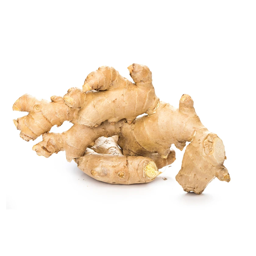 Ginger Low Price Private Label Quality Suppliers Bulk Market Natural Super Fresh Vegetable Brazil Ginger For Sale