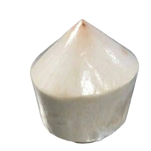Top Quality Young Fresh Coconut Export From Thailand