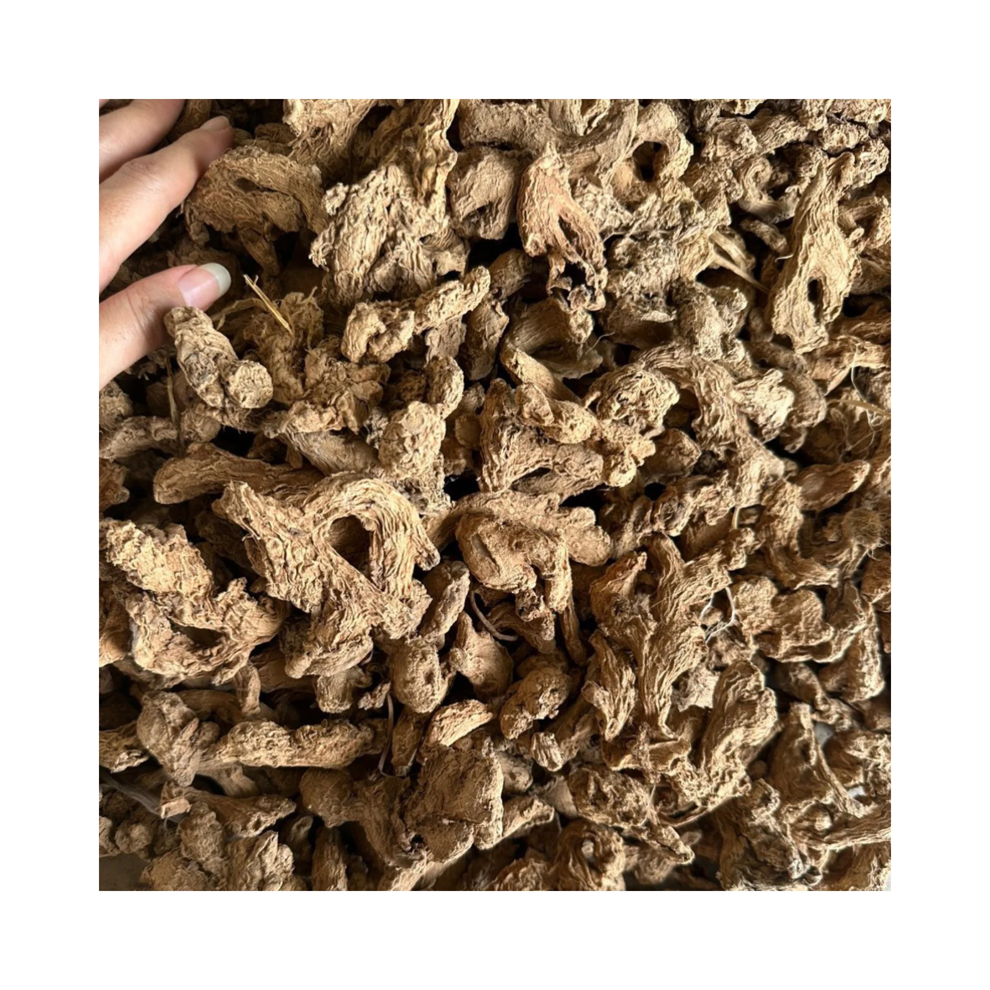 Dried ginger for Cooking and Drinking from Viet Nam/ Hot Sale Dehydrated Ginger Slice / whole