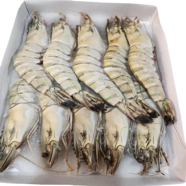 Giant Black Tiger Prawn No Additives Fresh Natural Whole Shape Raw Frozen Cooking Bulk Seafood Shrimp