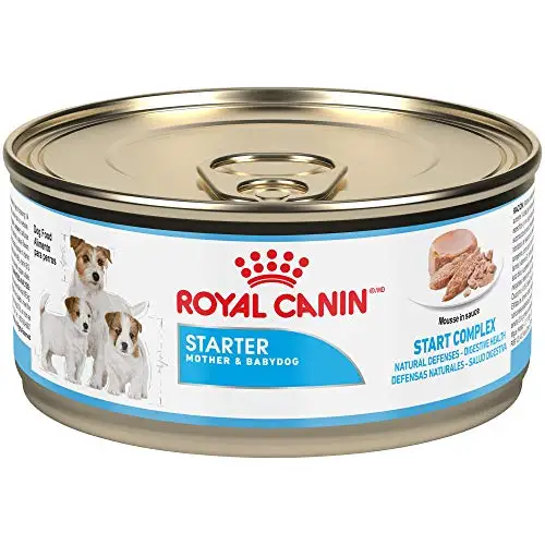 Royal Canin distributor in USA, Royal Canin Size Health Nutrition Starter Mother & Babydog Mousse in Sauce Wet Dog Food
