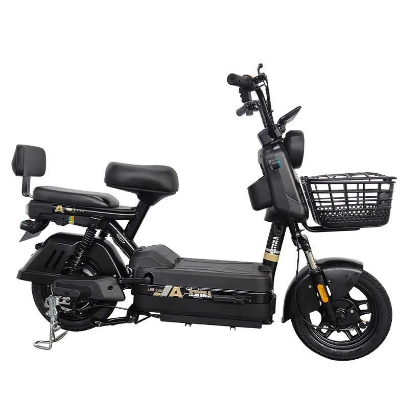 Motorcycle Sightseeing Commercial Lowrider  Women Set Dirtbike Handle Box Zhongshan  Taillg Electric Bicycle