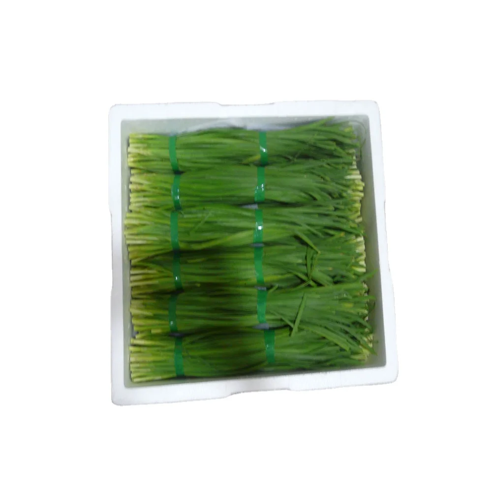 Dried Vegetables 5*5mm Dehydrated Air Dried Chive