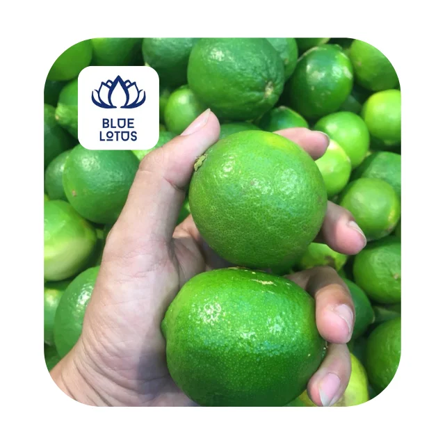 Fresh Seedless Lime Fresh Fruit