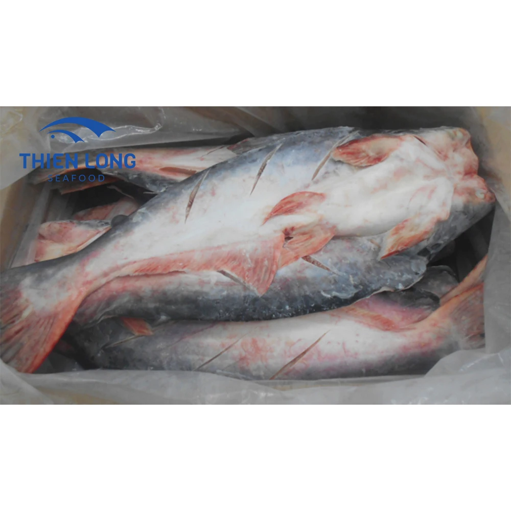 Top Quality Vietnam Supplier Fresh Frozen BQF Pangasius Whole Round Fish