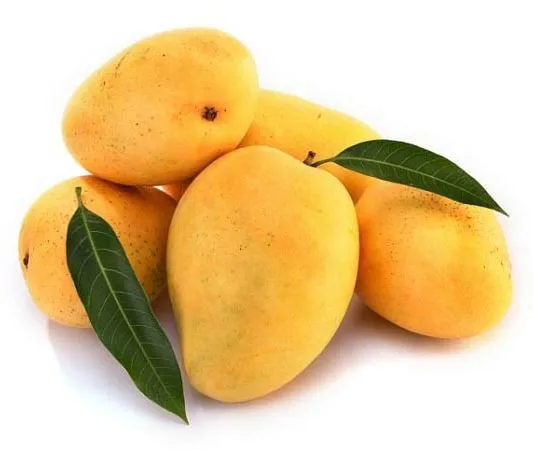 New Vietnam High Quality Delicious Fresh Mango Natural Mango Natural Yellow Color Hot Selling