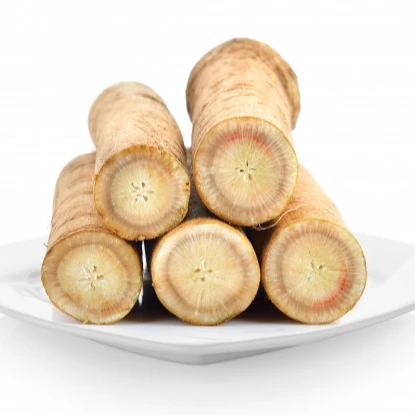Fresh burdock Bulk IQF frozen fresh burdock